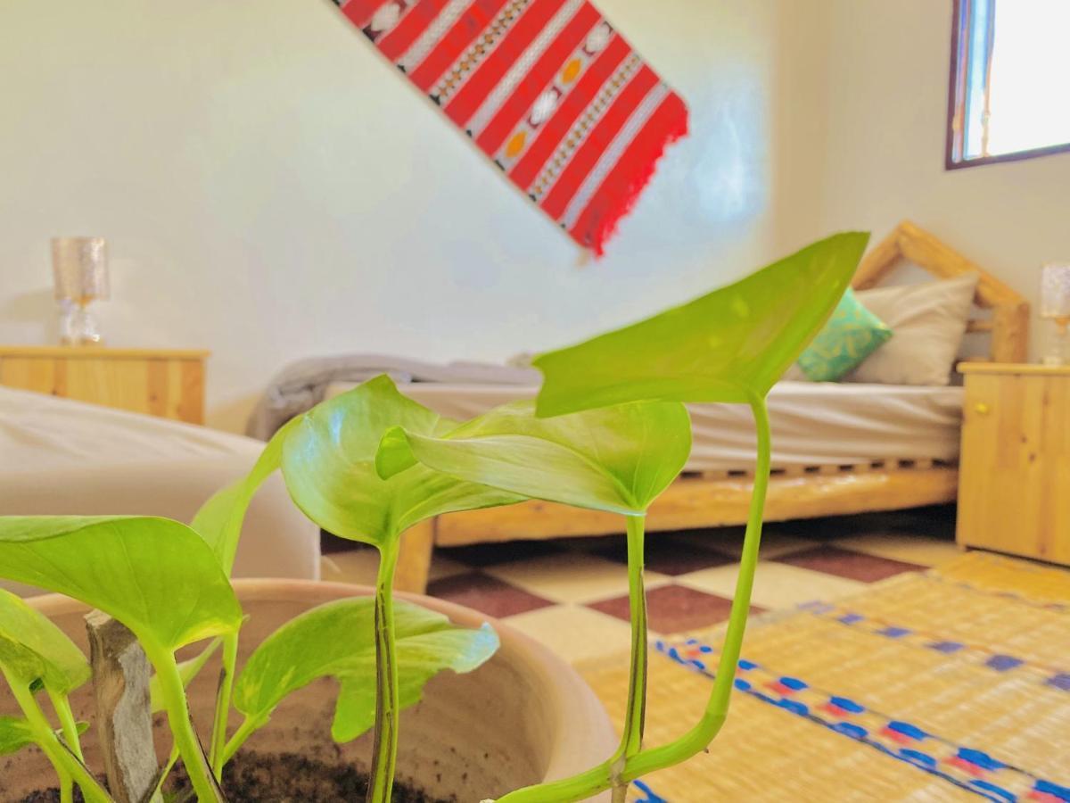 تغازوت Tizaou Guest House المظهر الخارجي الصورة