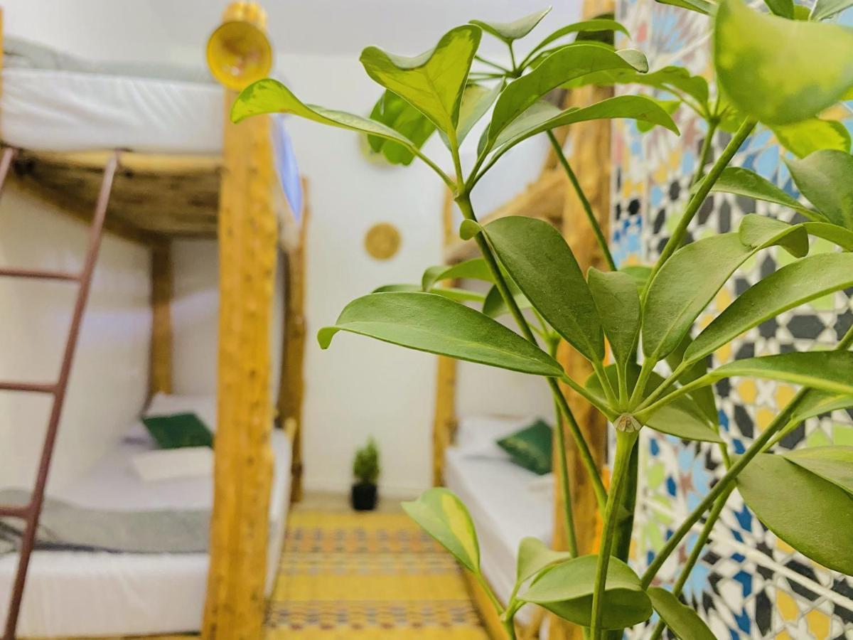 تغازوت Tizaou Guest House المظهر الخارجي الصورة
